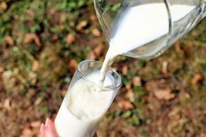 Municípios do Brasil têm volumes de leite acima de 6 mil litros por vaca e chegam ao padrão europeu de produção