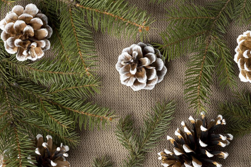 Ornamentos naturais com pinhas e galhos secos que demonstram uma decoração natalina sustentável